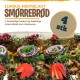 4 stk. højtbelagte smørrebrød